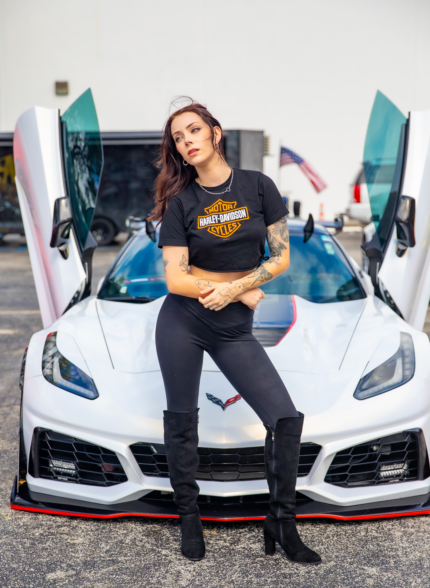 Corvette Portrait